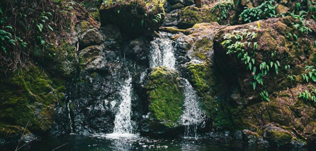 3 Pendakian Air Terjun Luar Biasa di Gunung Mt. Tamalpais