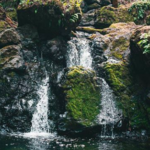 3 Pendakian Air Terjun Luar Biasa di Gunung Mt. Tamalpais