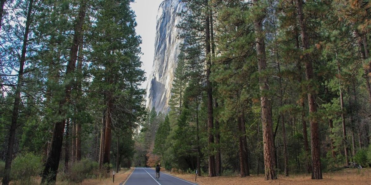 14 Tempat Bebas Keramaian untuk Dijelajahi di Lembah Yosemite