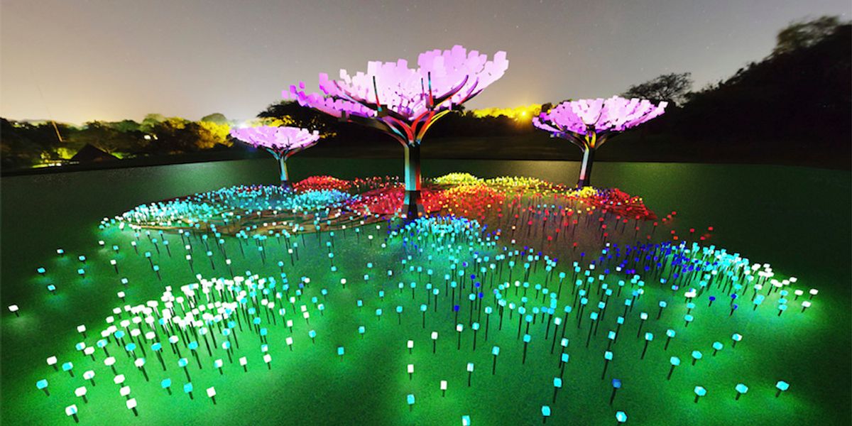 Hutan LED ajaib bermunculan di Golden Gate Park + lebih banyak kabar baik dari sekitar Bay Area
